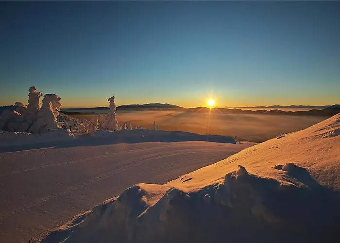 Holia, Kubinska Hola 아파트